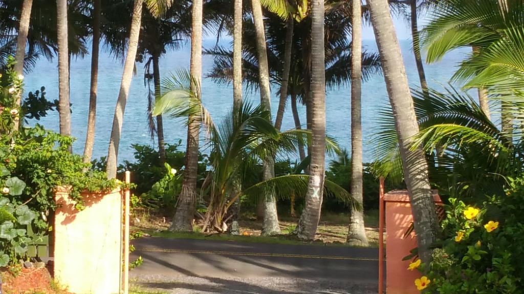 Whale House At Kehena Beach Pahoa Bilik gambar
