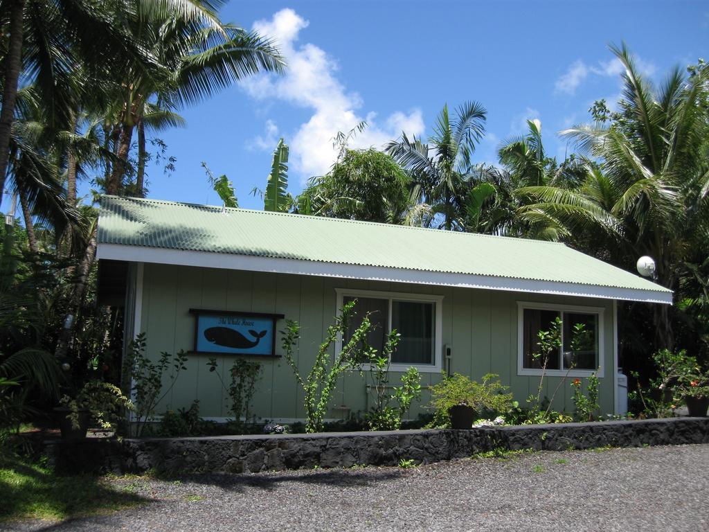 Whale House At Kehena Beach Pahoa Bilik gambar