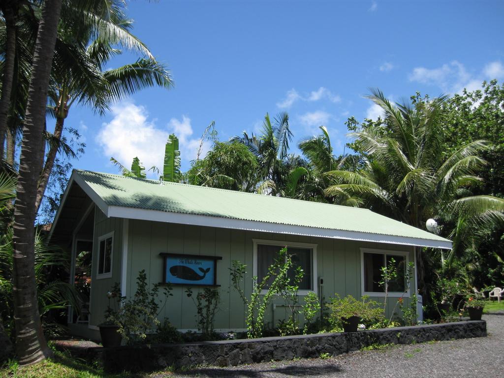 Whale House At Kehena Beach Pahoa Bilik gambar