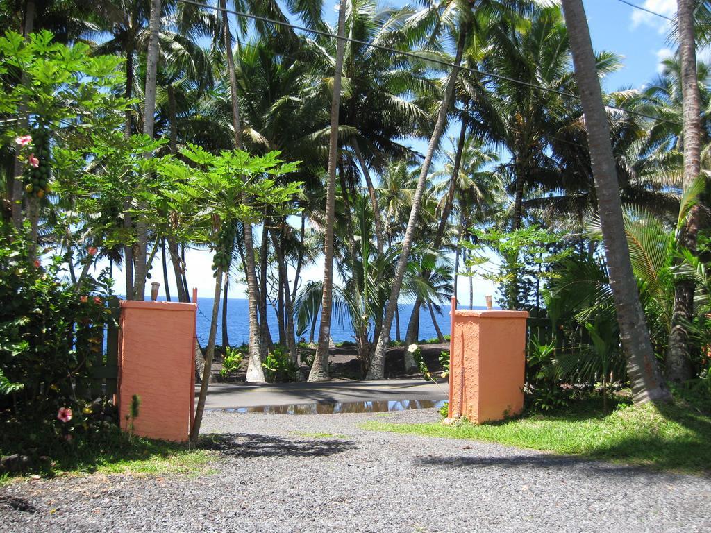 Whale House At Kehena Beach Pahoa Bilik gambar