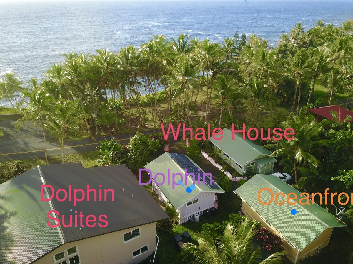 Whale House At Kehena Beach Pahoa Luaran gambar