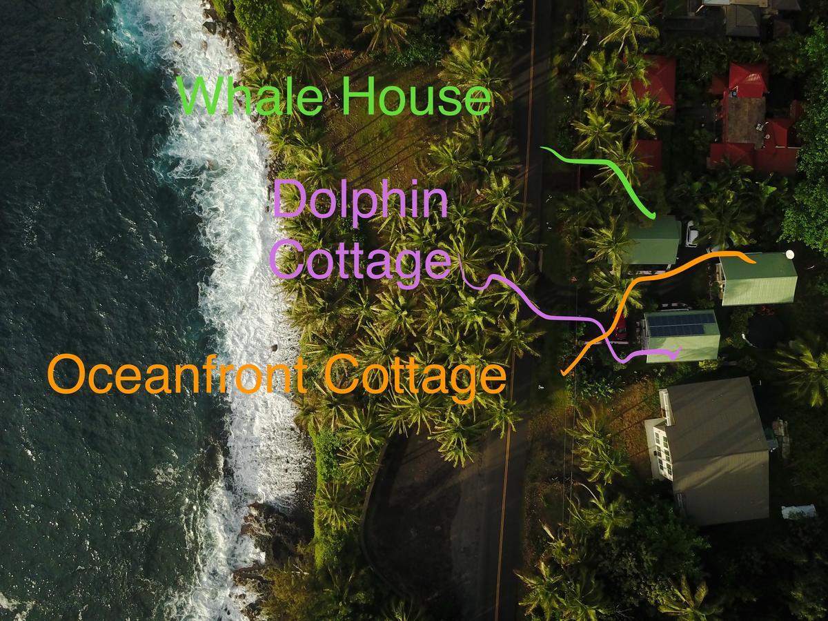 Whale House At Kehena Beach Pahoa Luaran gambar